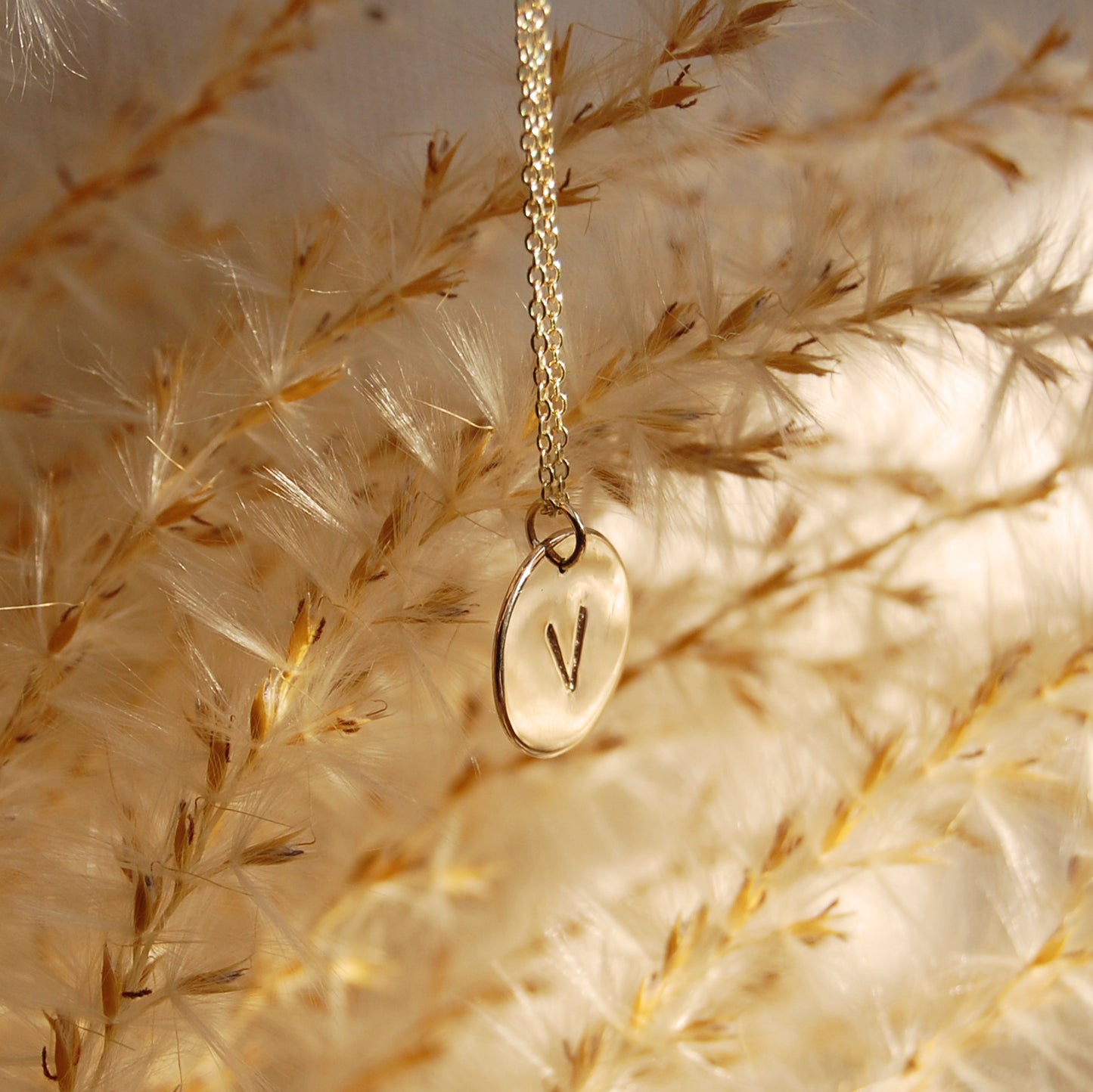 Gold Initial Disc Necklace